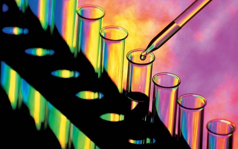 Le 7 regole per evitare il cancro